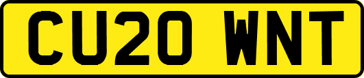 CU20WNT