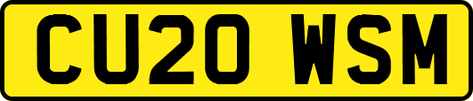 CU20WSM