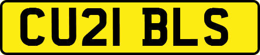CU21BLS