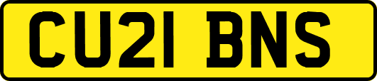 CU21BNS