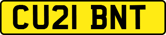 CU21BNT