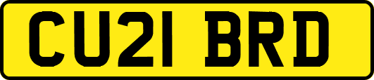 CU21BRD