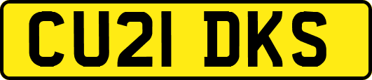 CU21DKS