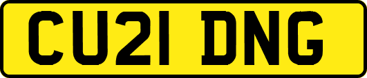CU21DNG