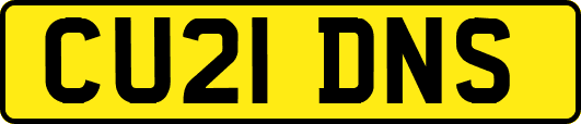 CU21DNS