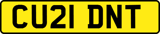 CU21DNT