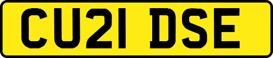 CU21DSE