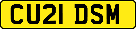 CU21DSM