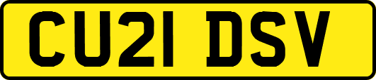 CU21DSV
