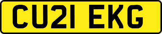 CU21EKG
