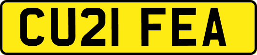 CU21FEA