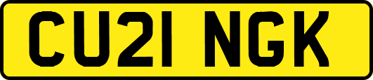CU21NGK