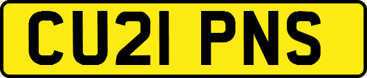 CU21PNS