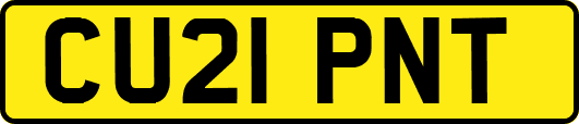 CU21PNT