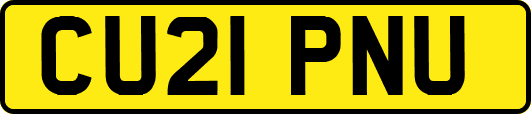 CU21PNU