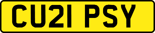 CU21PSY