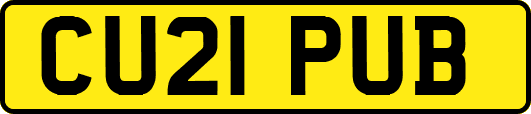 CU21PUB