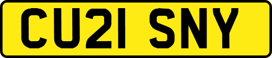 CU21SNY