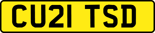 CU21TSD