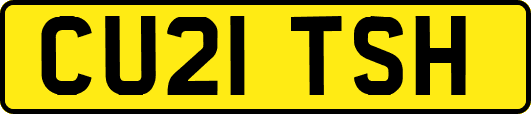 CU21TSH