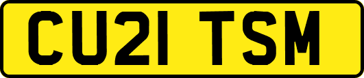 CU21TSM