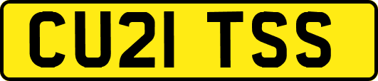 CU21TSS