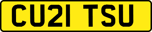 CU21TSU