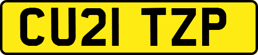 CU21TZP