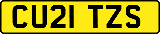 CU21TZS