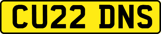 CU22DNS