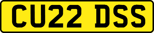CU22DSS