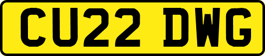 CU22DWG