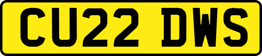 CU22DWS