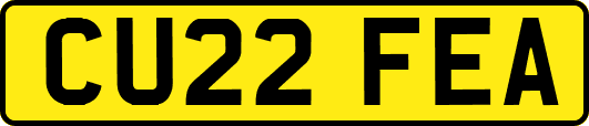 CU22FEA