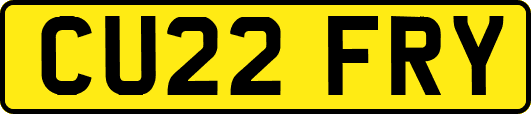 CU22FRY