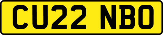 CU22NBO