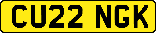 CU22NGK