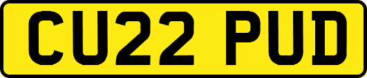 CU22PUD