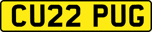 CU22PUG