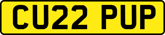 CU22PUP