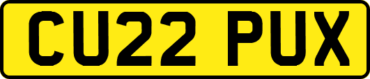 CU22PUX