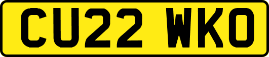 CU22WKO