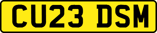 CU23DSM