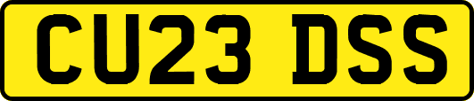 CU23DSS