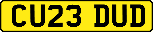 CU23DUD