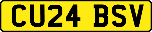 CU24BSV