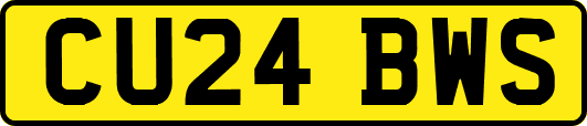 CU24BWS