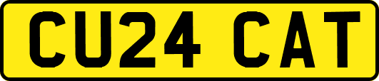 CU24CAT