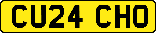 CU24CHO