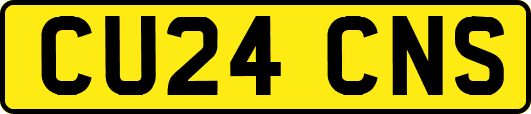 CU24CNS